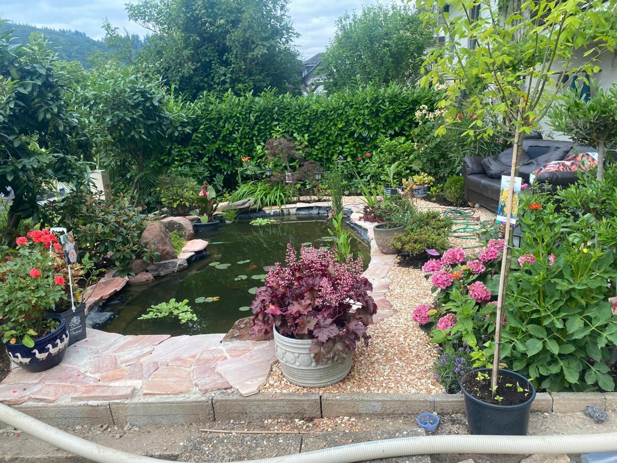 Pension Mit Moselblick Klotten Exterior foto